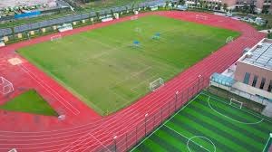 羽毛球新星表现盘点