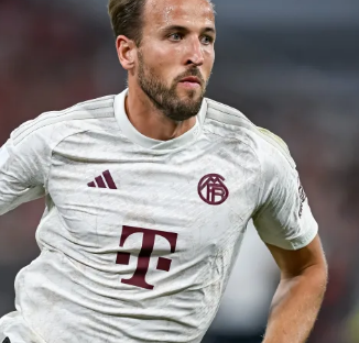 壶队在冬残 壶队在冬残